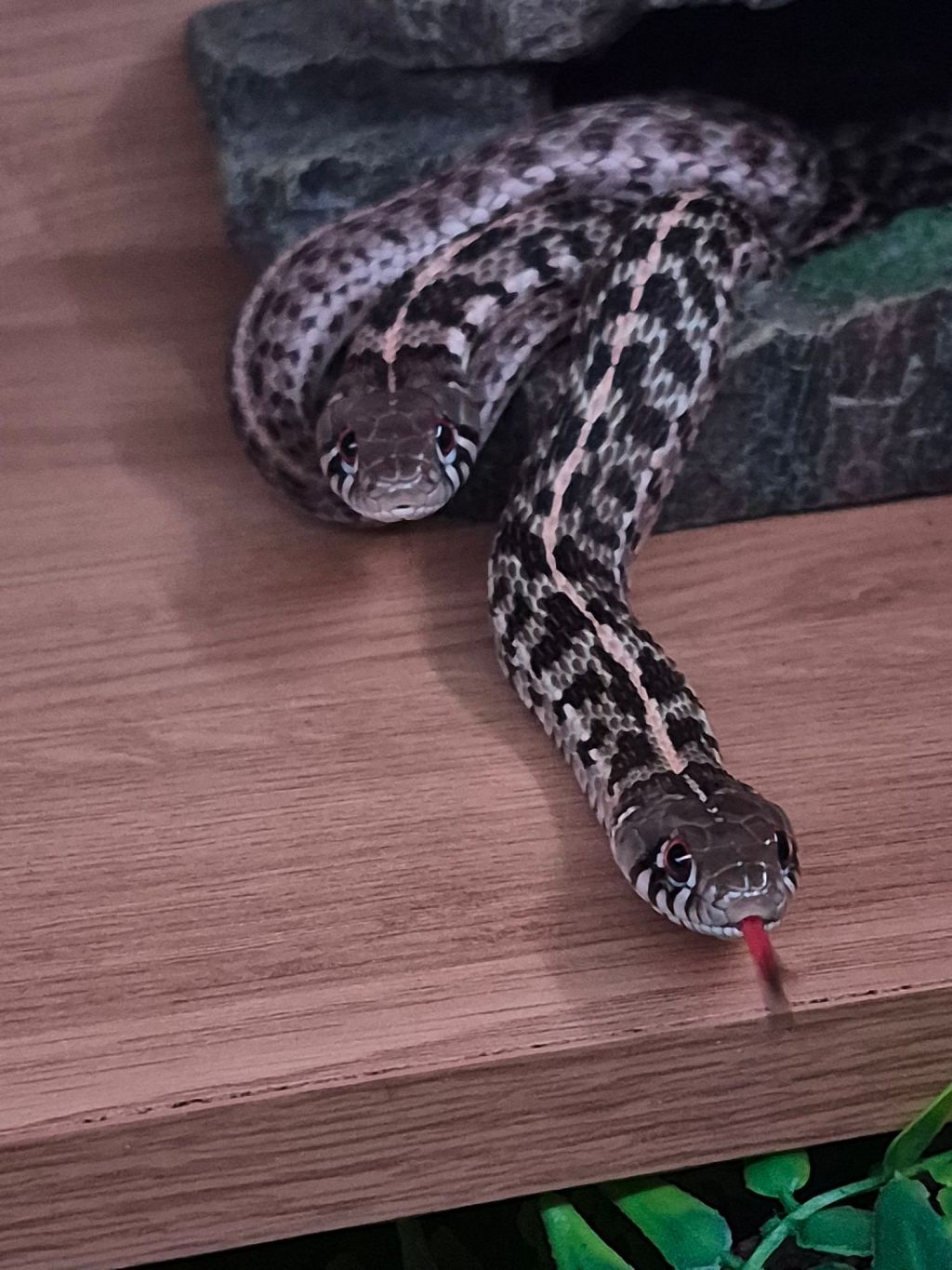 Not much happening in&nbsp;January